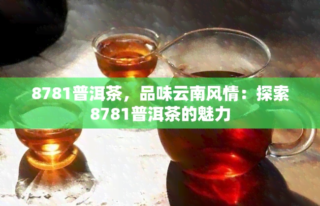 8781普洱茶，品味云南风情：探索8781普洱茶的魅力