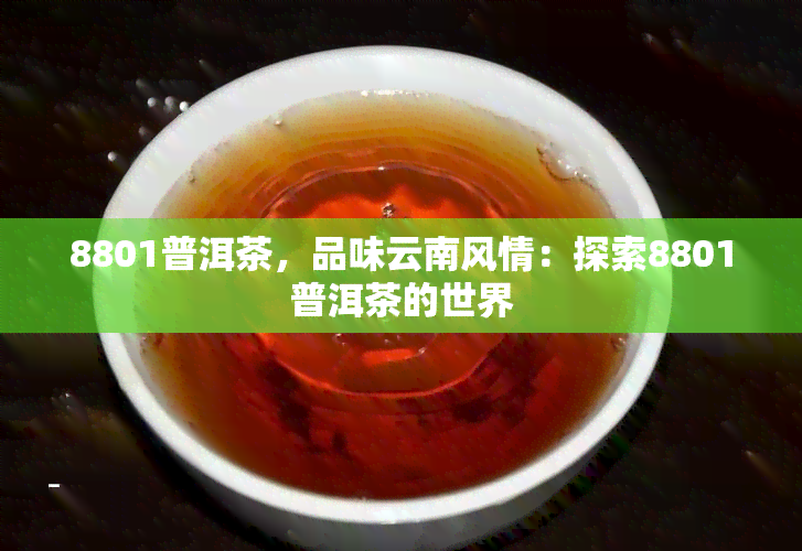 8801普洱茶，品味云南风情：探索8801普洱茶的世界