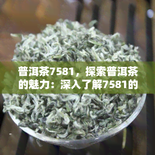 普洱茶7581，探索普洱茶的魅力：深入了解7581的口感和历