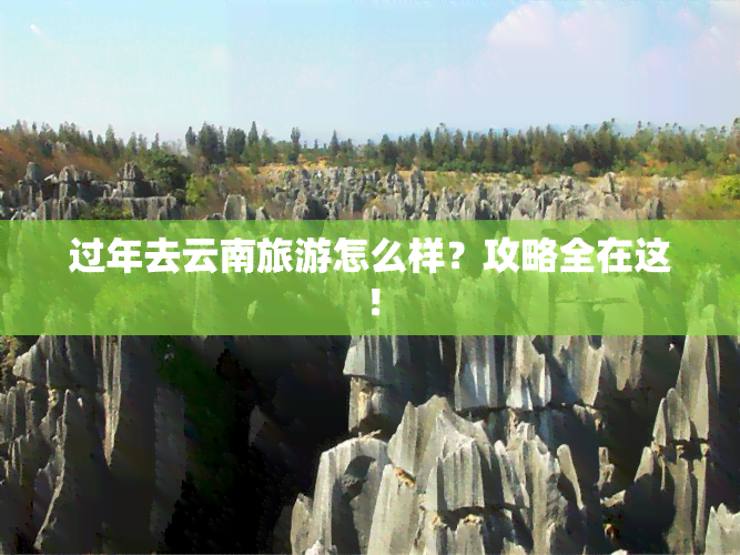 过年去云南旅游怎么样？攻略全在这！