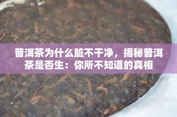 普洱茶为什么脏不干净，揭秘普洱茶是否生：你所不知道的真相