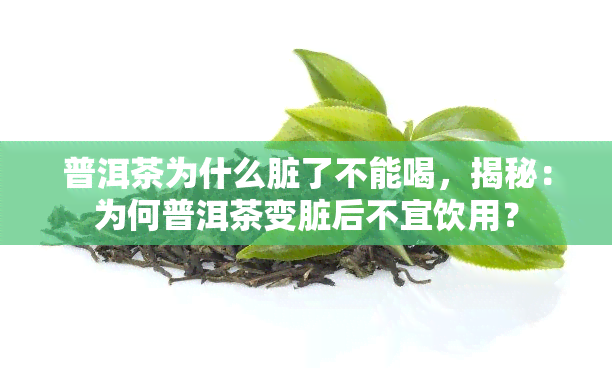 普洱茶为什么脏了不能喝，揭秘：为何普洱茶变脏后不宜饮用？