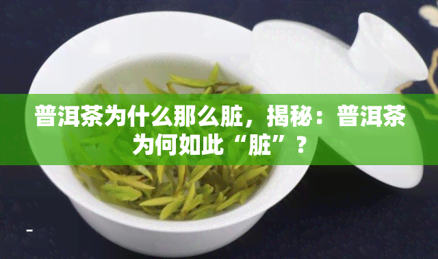 普洱茶为什么那么脏，揭秘：普洱茶为何如此“脏”？