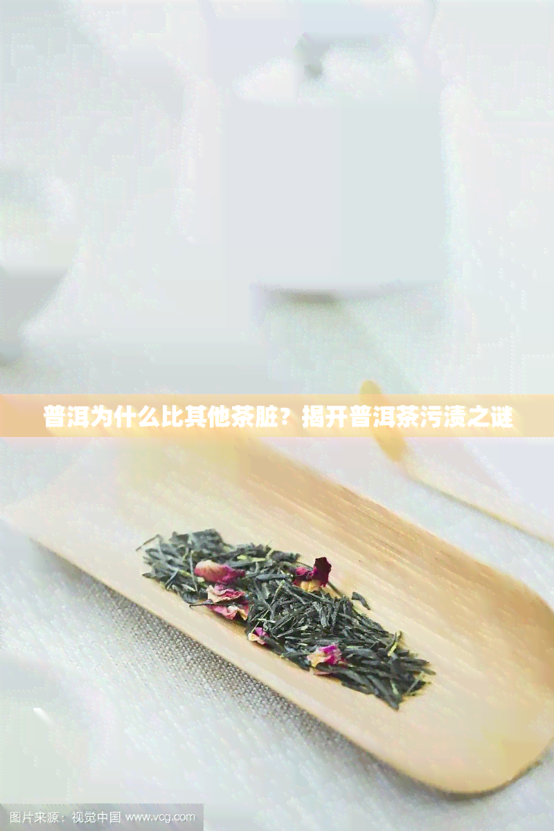 普洱为什么比其他茶脏？揭开普洱茶污渍之谜