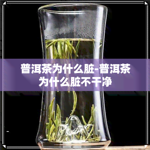 普洱茶为什么脏-普洱茶为什么脏不干净