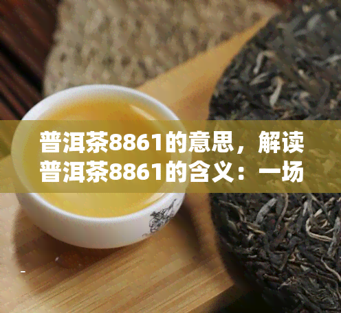 普洱茶8861的意思，解读普洱茶8861的含义：一场关于传统与现代的对话