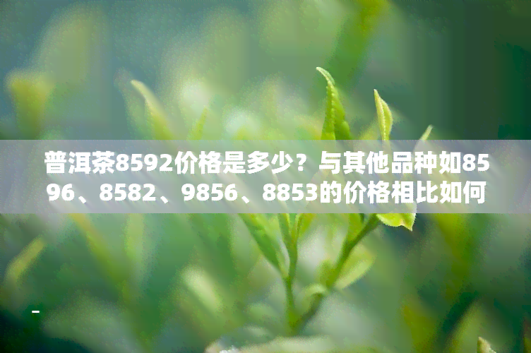 普洱茶8592价格是多少？与其他品种如8596、8582、9856、8853的价格相比如何？8592是否是较差的品种？