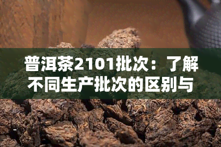 普洱茶2101批次：了解不同生产批次的区别与含义