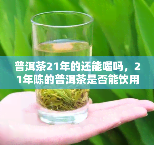 普洱茶21年的还能喝吗，21年陈的普洱茶是否能饮用？专家解析