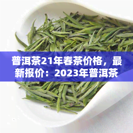 普洱茶21年春茶价格，最新报价：2023年普洱茶春茶价格出炉！