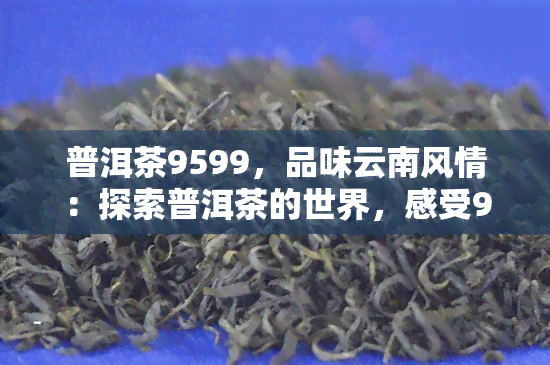 普洱茶9599，品味云南风情：探索普洱茶的世界，感受9599的独特魅力