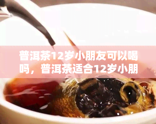 普洱茶12岁小朋友可以喝吗，普洱茶适合12岁小朋友饮用吗？