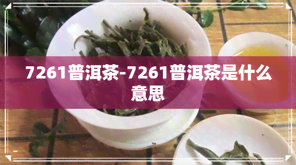 7261普洱茶-7261普洱茶是什么意思