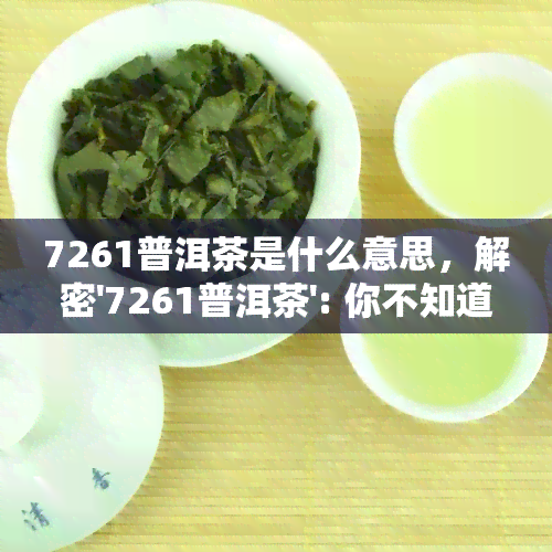 7261普洱茶是什么意思，解密'7261普洱茶': 你不知道的事实