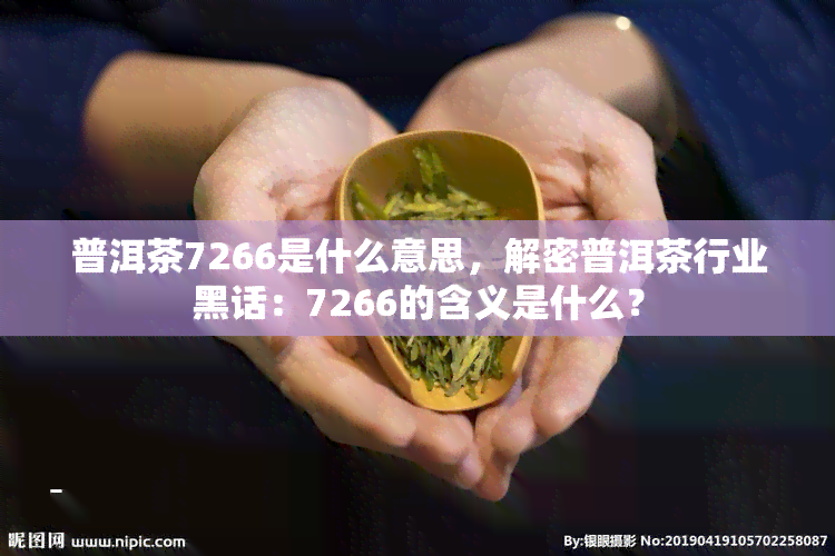 普洱茶7266是什么意思，解密普洱茶行业黑话：7266的含义是什么？