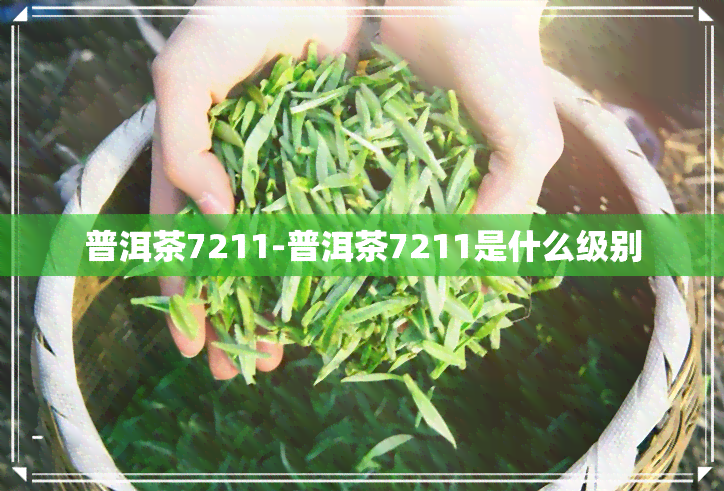 普洱茶7211-普洱茶7211是什么级别