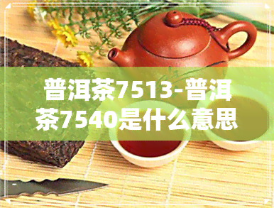 普洱茶7513-普洱茶7540是什么意思