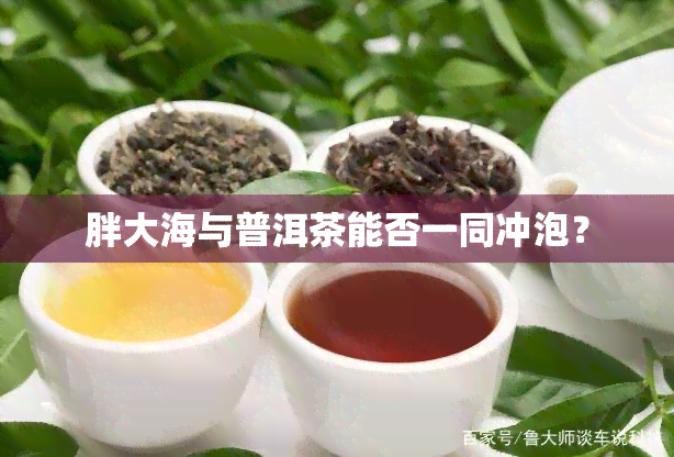 胖大海与普洱茶能否一同冲泡？