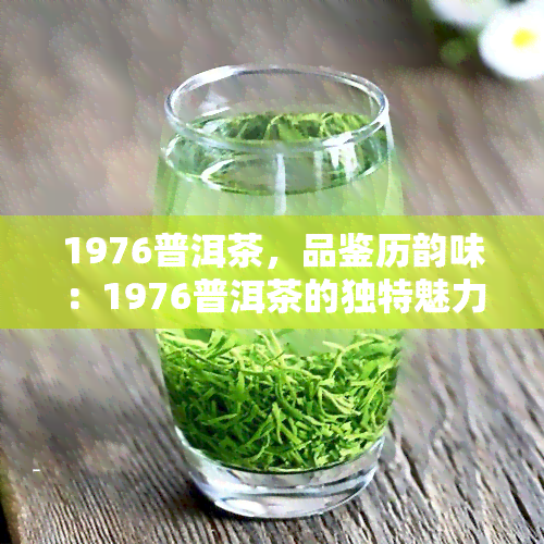 1976普洱茶，品鉴历韵味：1976普洱茶的独特魅力