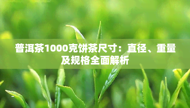 普洱茶1000克饼茶尺寸：直径、重量及规格全面解析