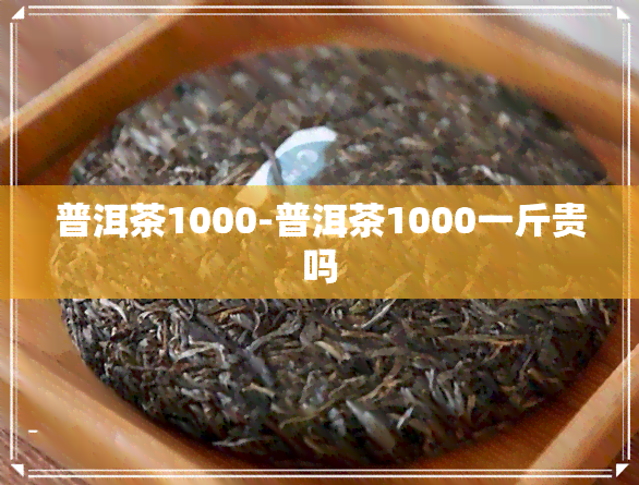 普洱茶1000-普洱茶1000一斤贵吗