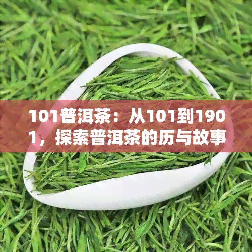 101普洱茶：从101到1901，探索普洱茶的历与故事