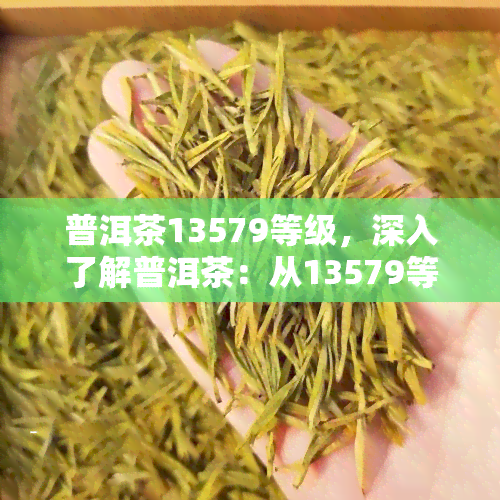 普洱茶13579等级，深入了解普洱茶：从13579等级开始