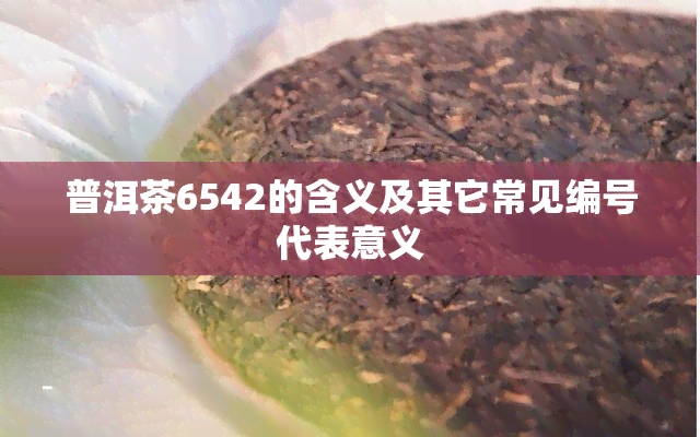 普洱茶6542的含义及其它常见编号代表意义