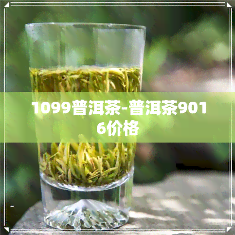 1099普洱茶-普洱茶9016价格