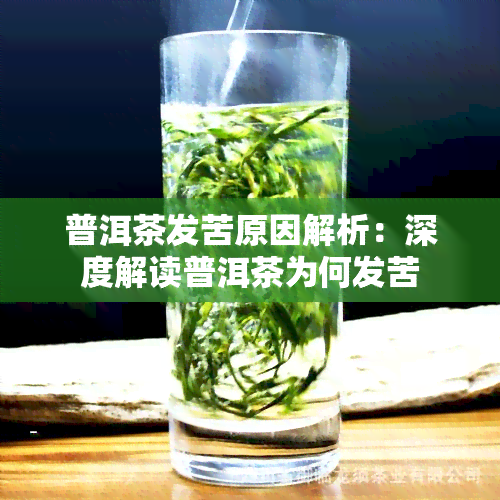 普洱茶发苦原因解析：深度解读普洱茶为何发苦