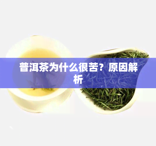 普洱茶为什么很苦？原因解析