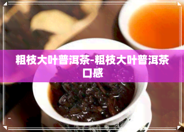 粗枝大叶普洱茶-粗枝大叶普洱茶口感