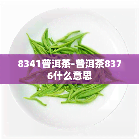 8341普洱茶-普洱茶8376什么意思