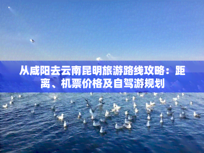 从咸阳去云南昆明旅游路线攻略：距离、机票价格及自驾游规划