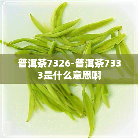 普洱茶7326-普洱茶7333是什么意思啊