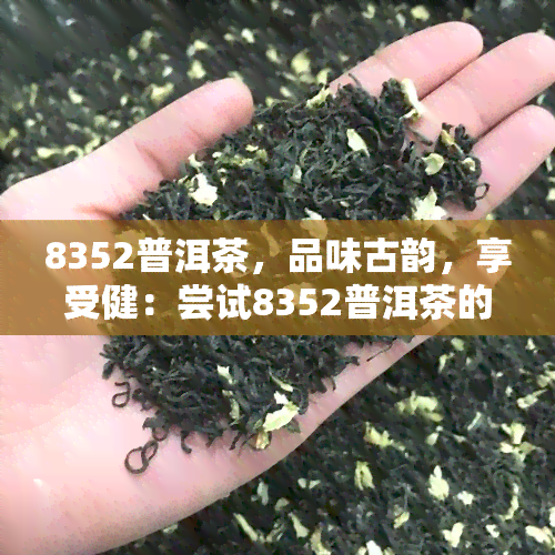 8352普洱茶，品味古韵，享受健：尝试8352普洱茶的魅力