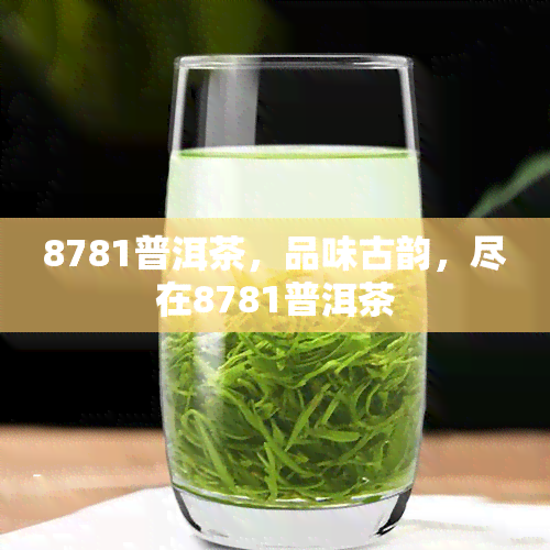 8781普洱茶，品味古韵，尽在8781普洱茶