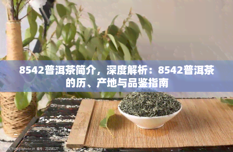 8542普洱茶简介，深度解析：8542普洱茶的历、产地与品鉴指南