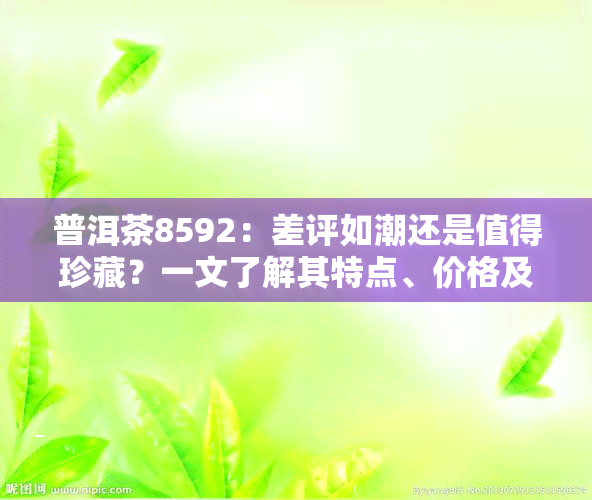 普洱茶8592：差评如潮还是值得珍藏？一文了解其特点、价格及与8562的区别