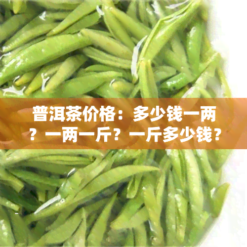 普洱茶价格：多少钱一两？一两一斤？一斤多少钱？克价、斤价、块价全知道！