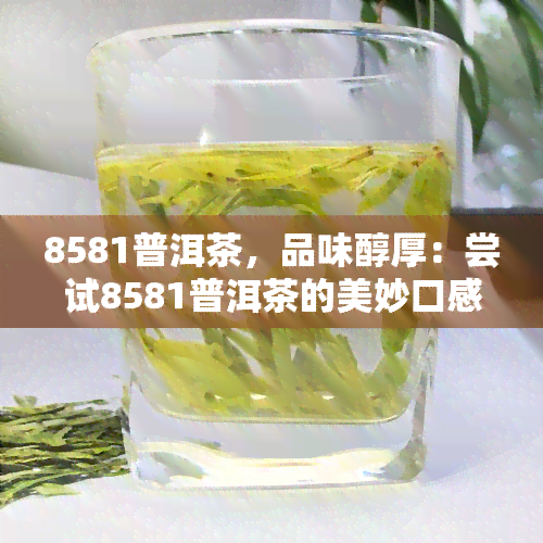 8581普洱茶，品味醇厚：尝试8581普洱茶的美妙口感