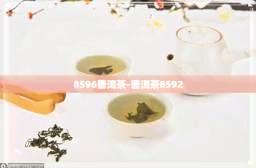 8596普洱茶-普洱茶8592