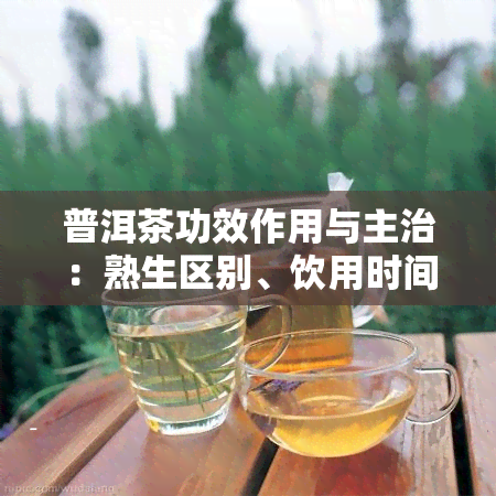 普洱茶功效作用与主治：熟生区别、饮用时间、对肺部影响及降脂效果