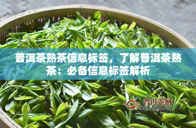 普洱茶熟茶信息标签，了解普洱茶熟茶：必备信息标签解析