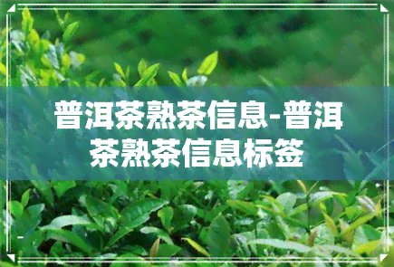 普洱茶熟茶信息-普洱茶熟茶信息标签