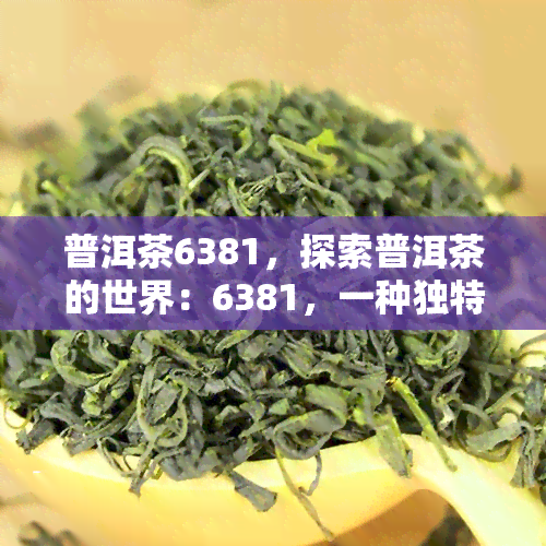 普洱茶6381，探索普洱茶的世界：6381，一种独特的口感体验