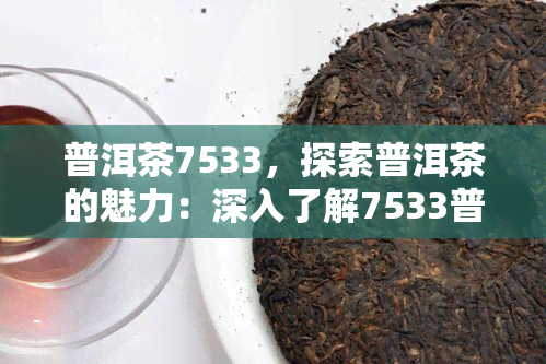 普洱茶7533，探索普洱茶的魅力：深入了解7533普洱茶的制作工艺和口感特点