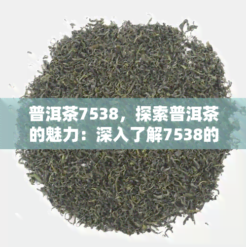 普洱茶7538，探索普洱茶的魅力：深入了解7538的起源与口感