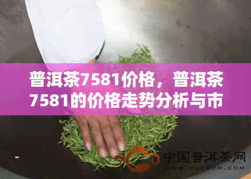 普洱茶7581价格，普洱茶7581的价格走势分析与市场前景预测