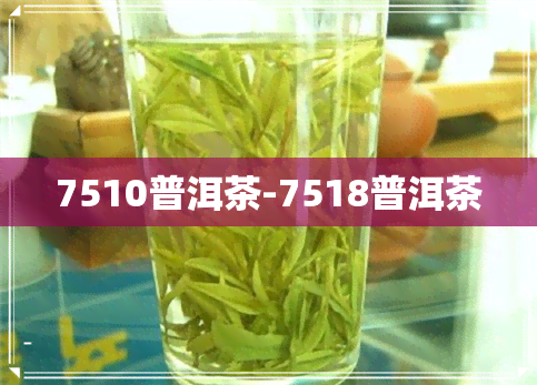 7510普洱茶-7518普洱茶